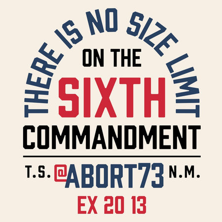 There is No Size Limit on the 6th Commandment: Unisex T-Shirt